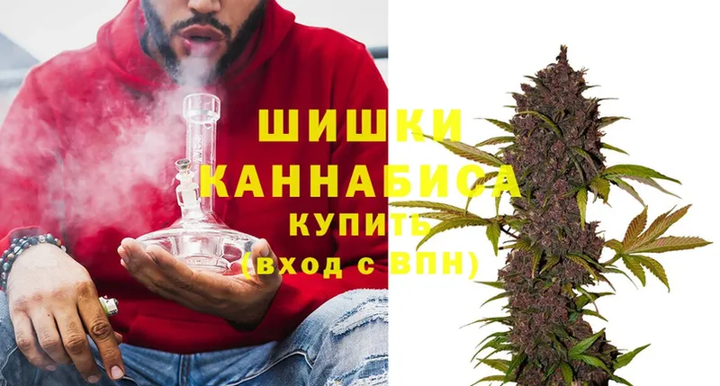 Каннабис SATIVA & INDICA  Шуя 